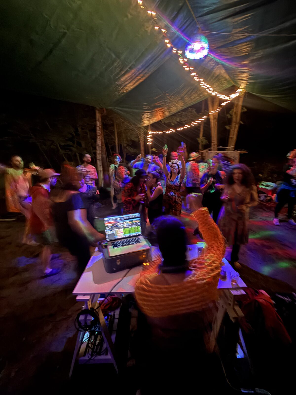 Private jungle party