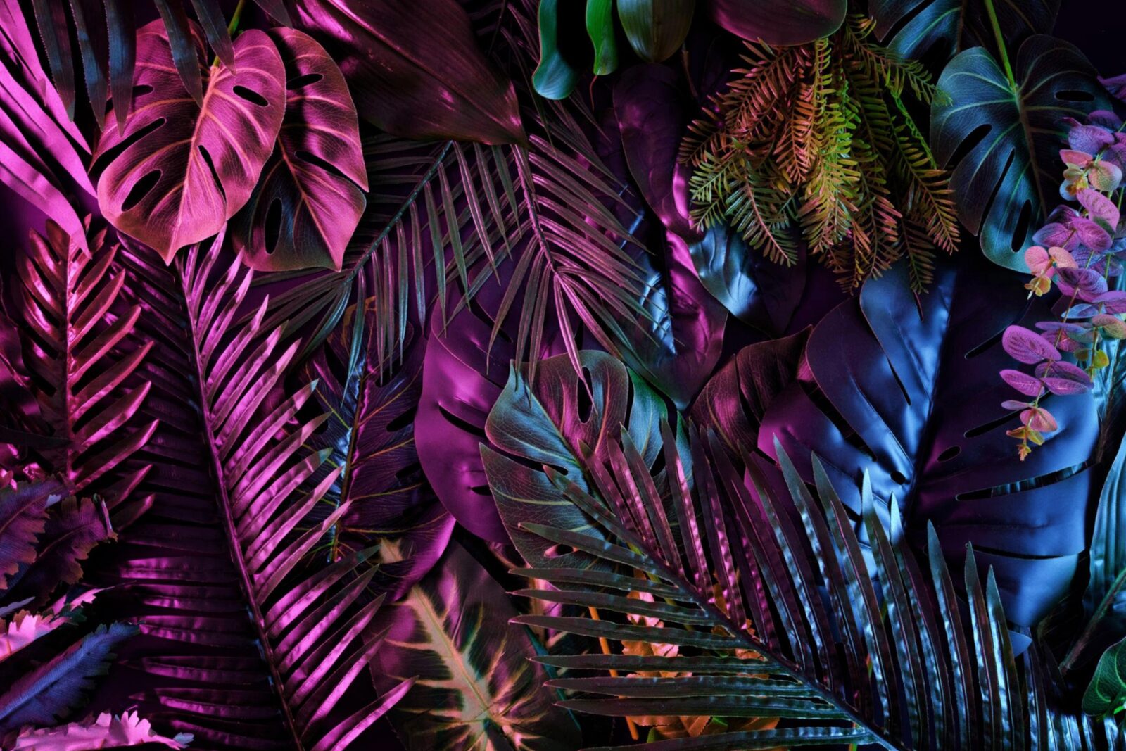 Tropical foliage in magenta and teal light