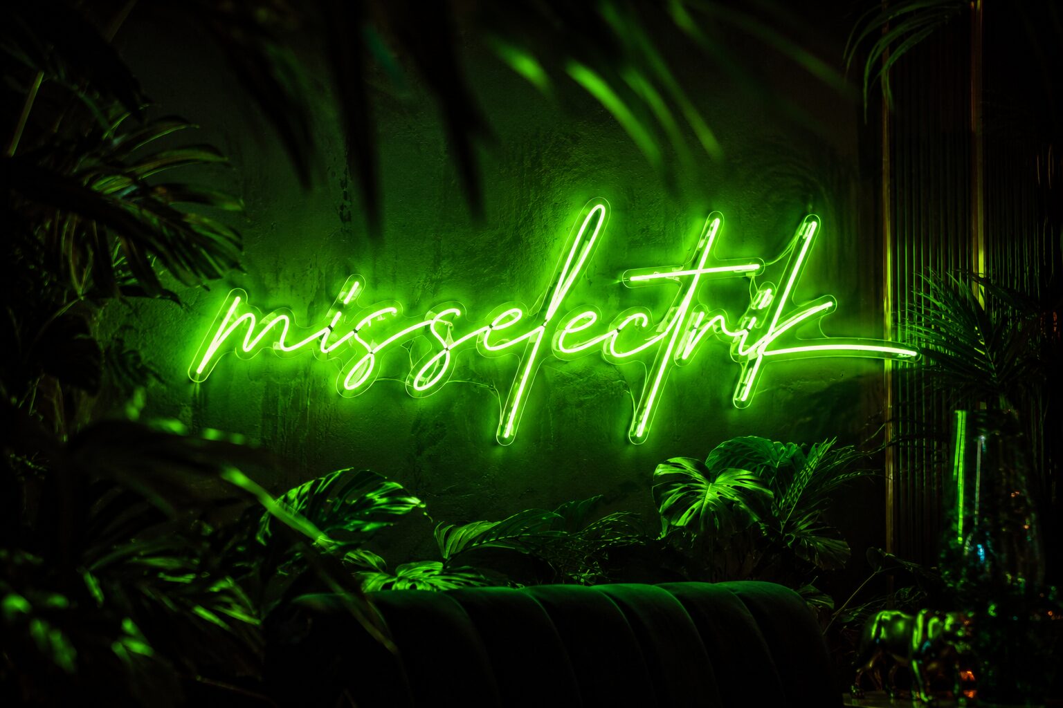 misselectrik green neon sign amid tropical foliage