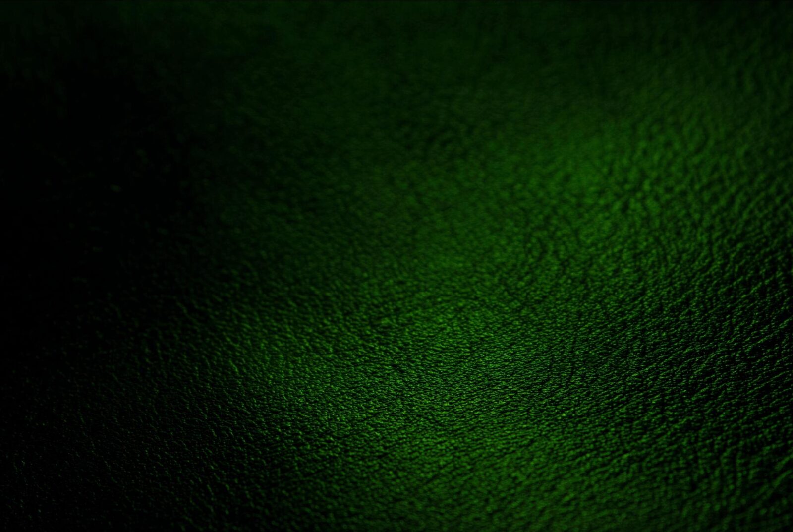 Deep green pebbled leather