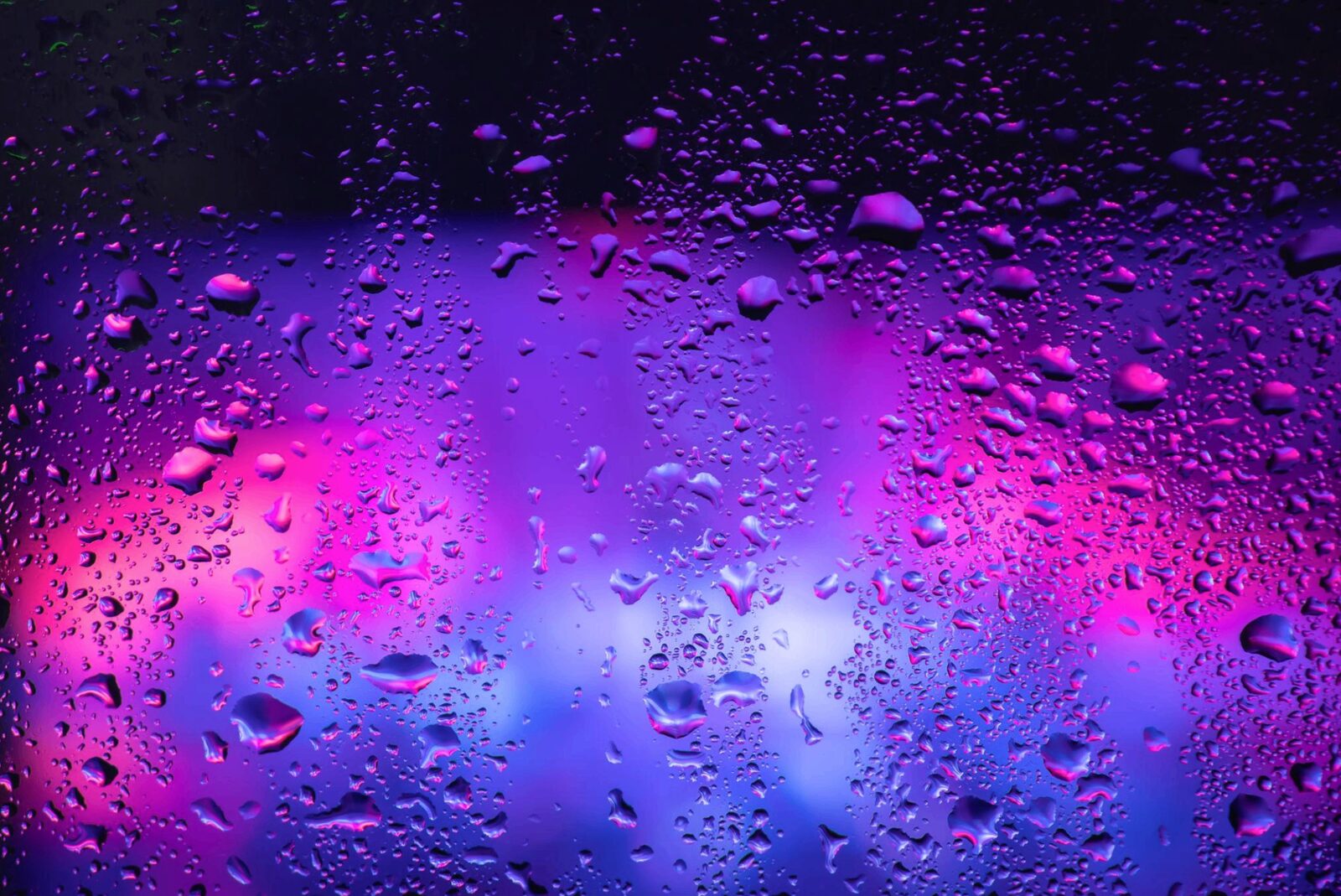 Magenta and violet rain glass
